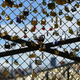 Image for article titled Should We Ban Love Locks From Cities Forever?